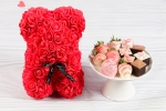 Red Rose Bear with Strawberries and Brownie Collection