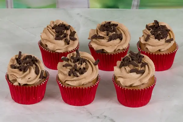 Dairy and Gluten Free Chocolate Cupcake Indulgence